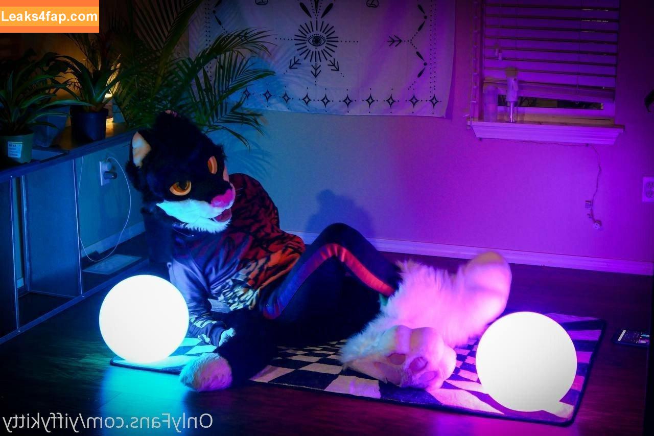 yiffykitty /  leaked photo photo #0043