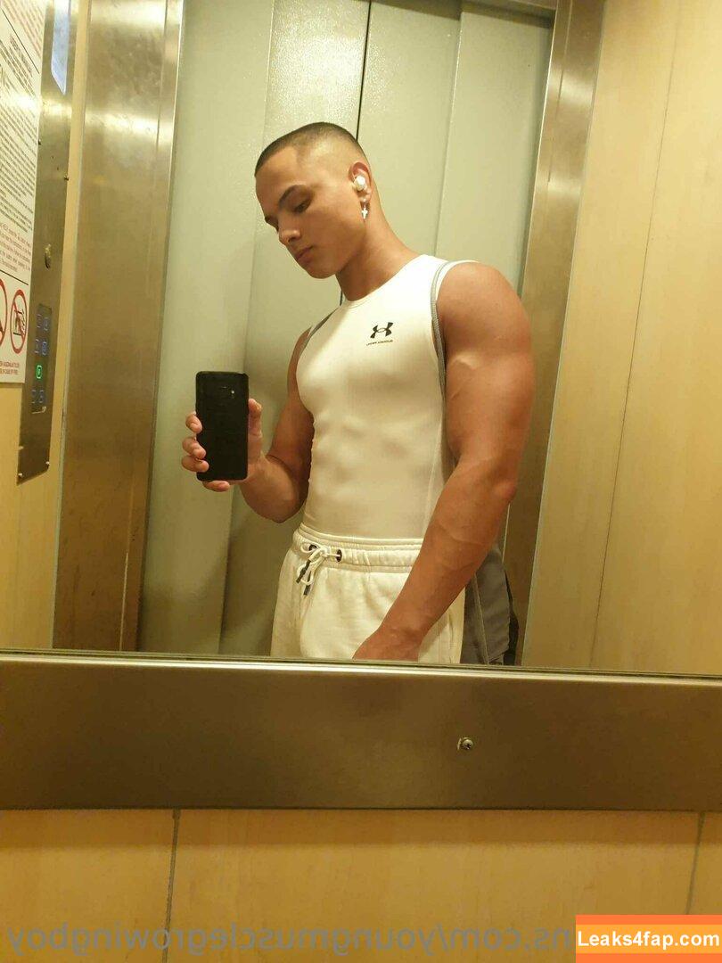 youngmusclegrowingboy /  leaked photo photo #0044