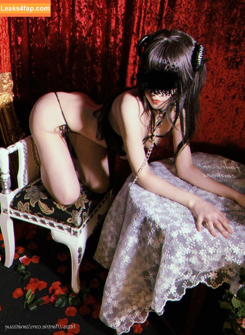 zanatissue / dmca / tissuepanty / zanapam5 leaked photo photo #0147