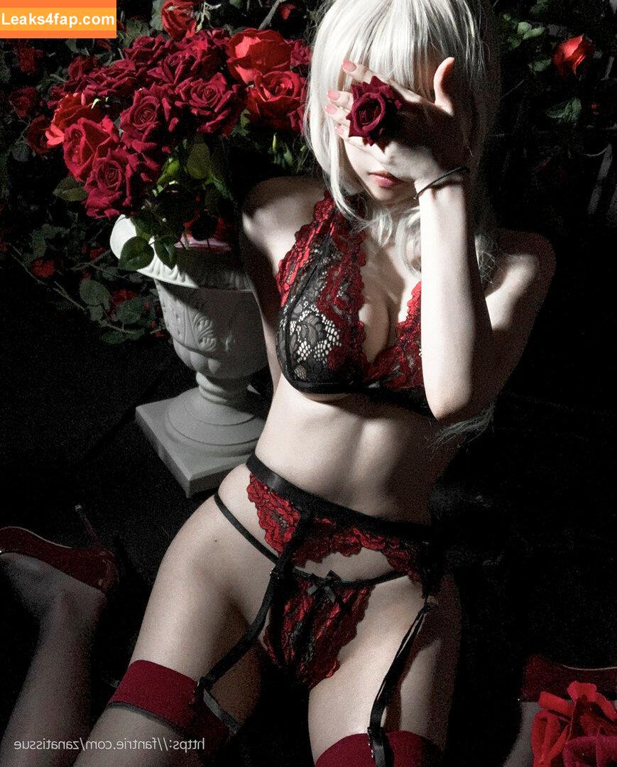 zanatissue / dmca / tissuepanty / zanapam5 leaked photo photo #0154