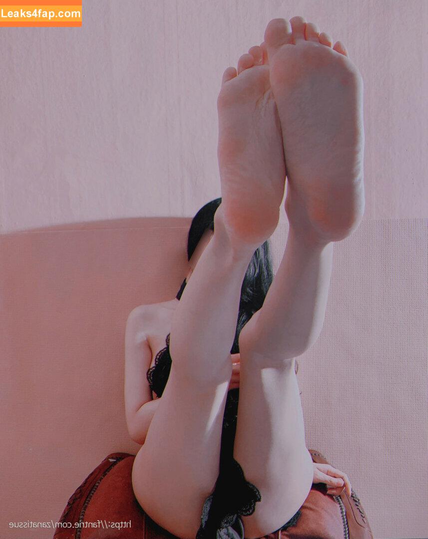 zanatissue / dmca / tissuepanty / zanapam5 leaked photo photo #0200