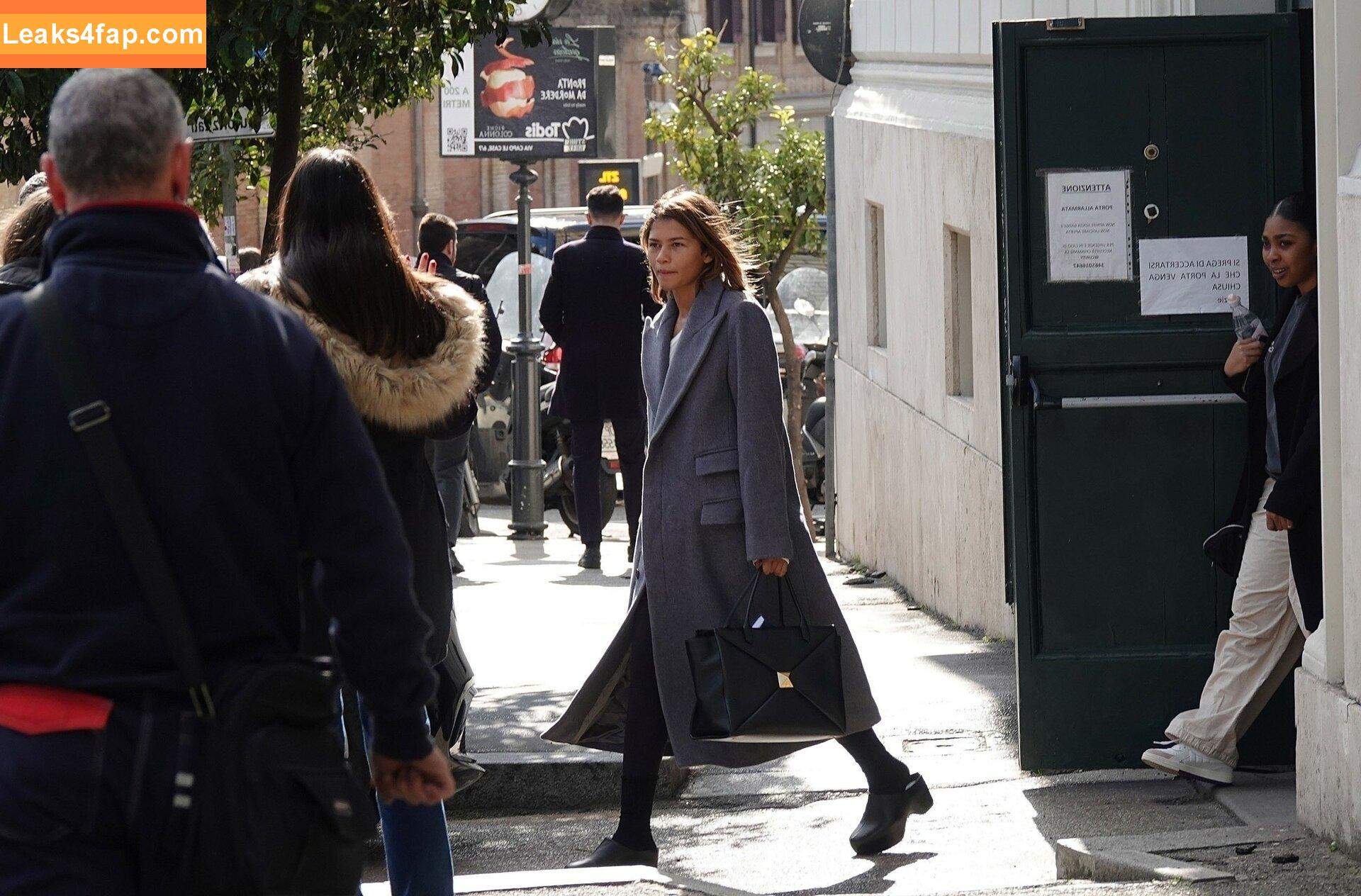 Zendaya / zayarose11 слитое фото фото #0143