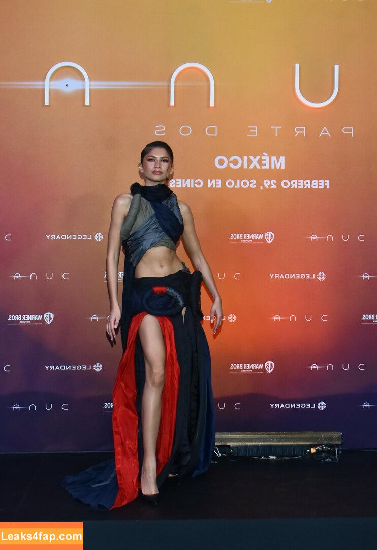 Zendaya / zayarose11 слитое фото фото #0715