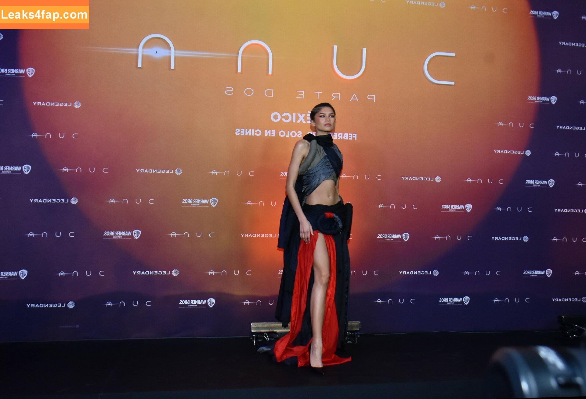 Zendaya / zayarose11 слитое фото фото #0718