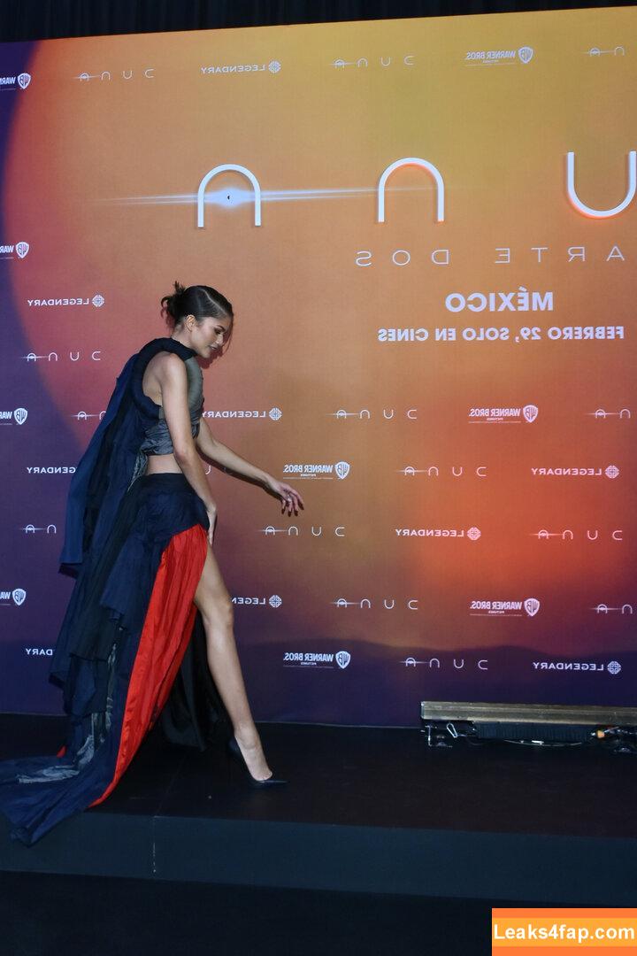 Zendaya / zayarose11 слитое фото фото #0719