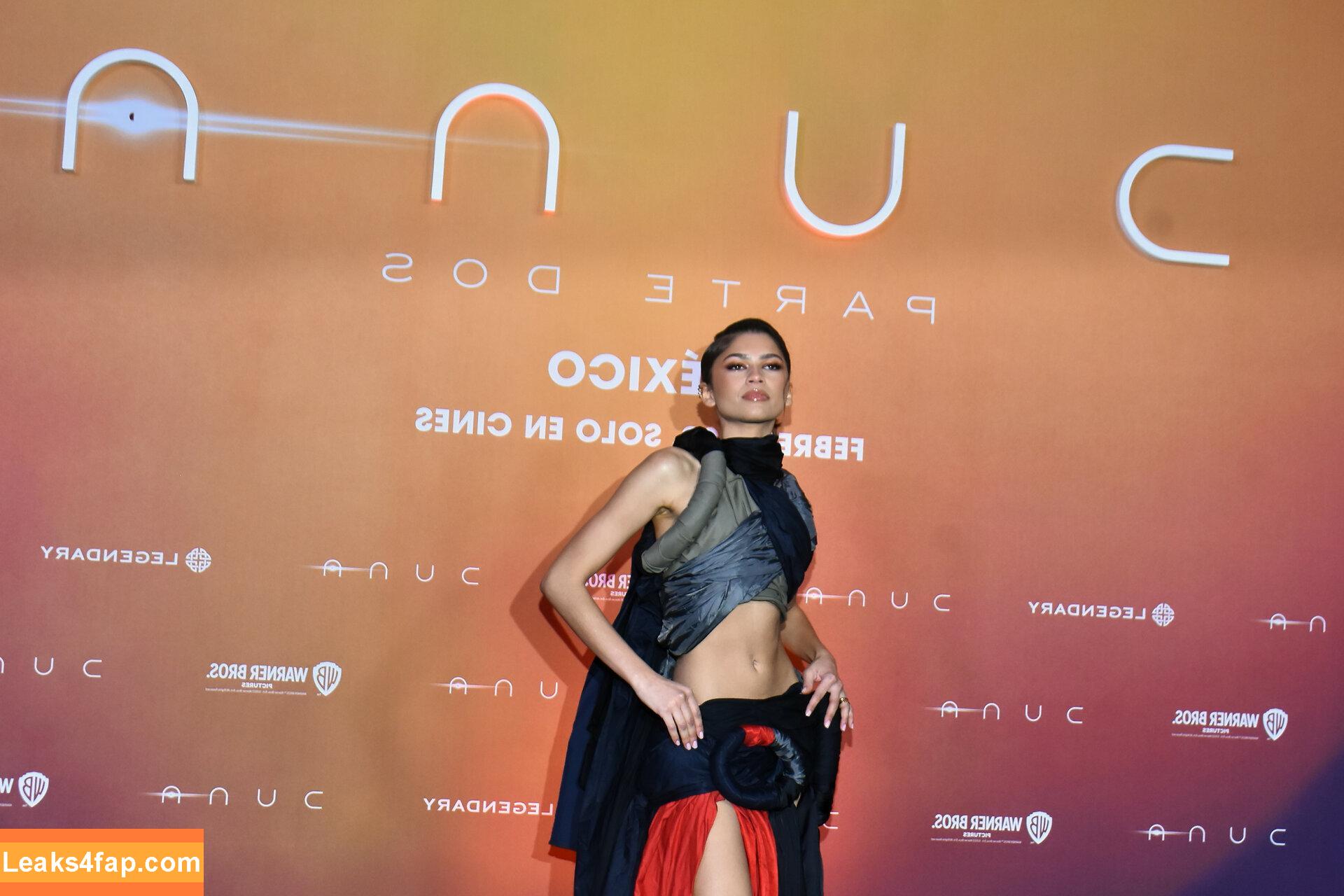 Zendaya / zayarose11 слитое фото фото #0722