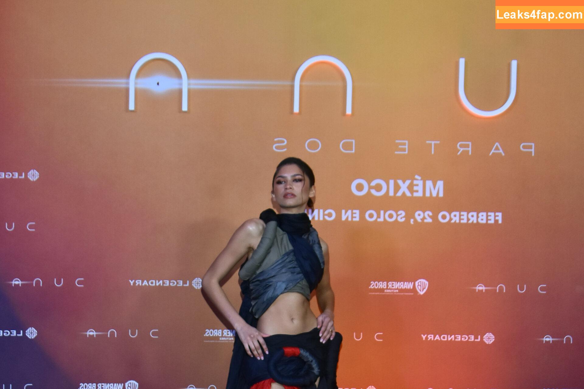 Zendaya / zayarose11 слитое фото фото #0728