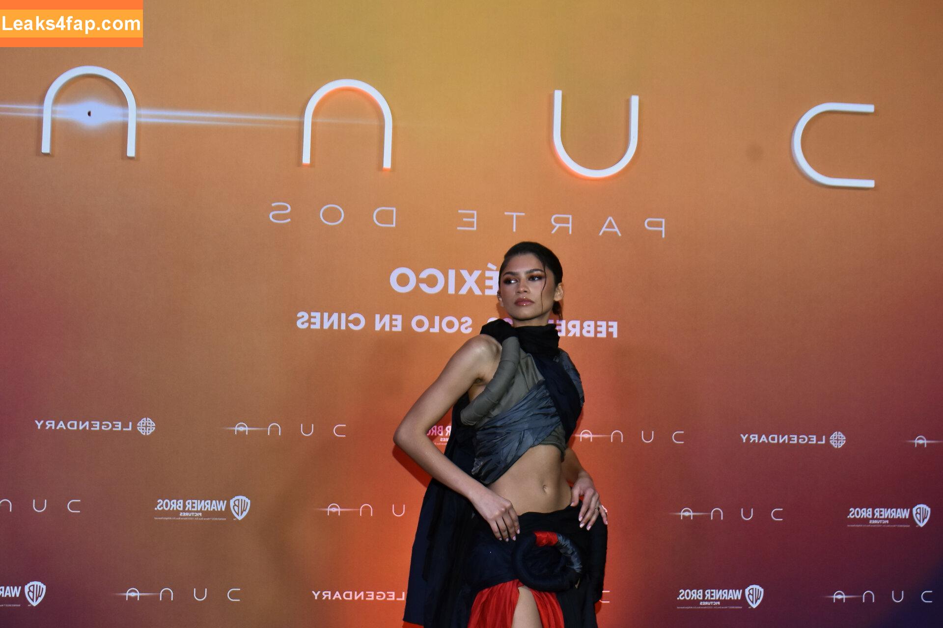 Zendaya / zayarose11 слитое фото фото #0730