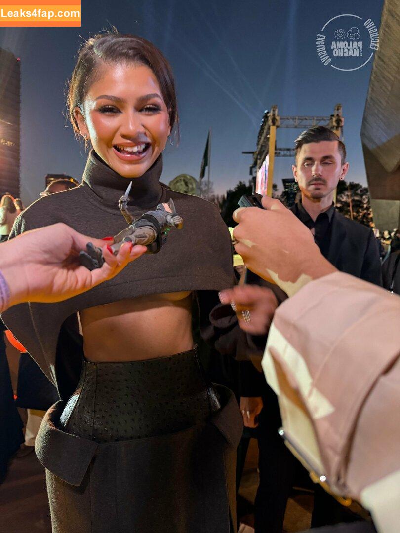 Zendaya / zayarose11 слитое фото фото #0738