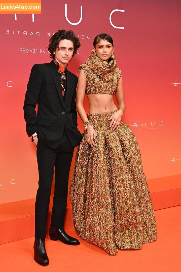 Zendaya / zayarose11 слитое фото фото #0792