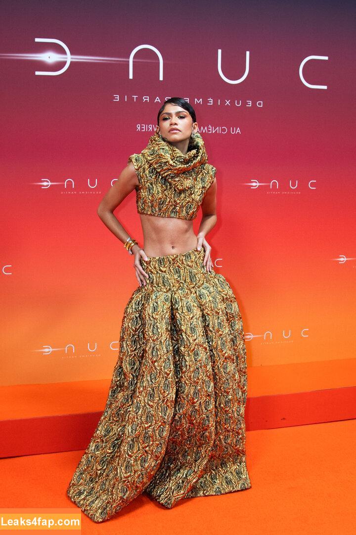 Zendaya / zayarose11 слитое фото фото #0794