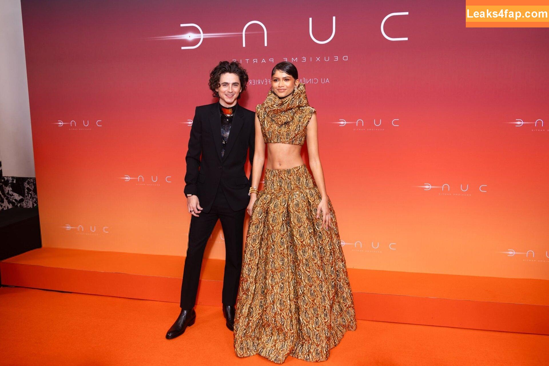 Zendaya / zayarose11 слитое фото фото #0800