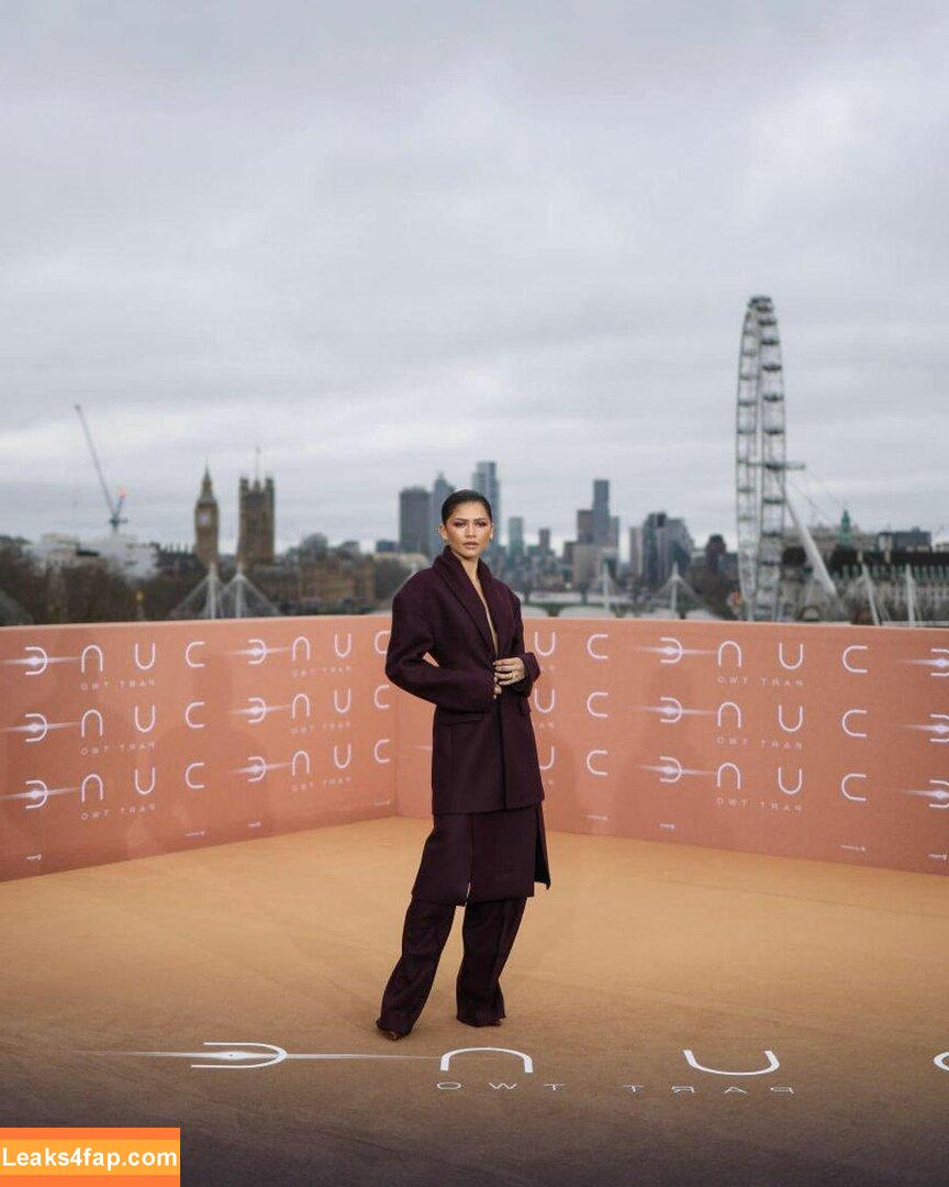 Zendaya / zayarose11 слитое фото фото #0809