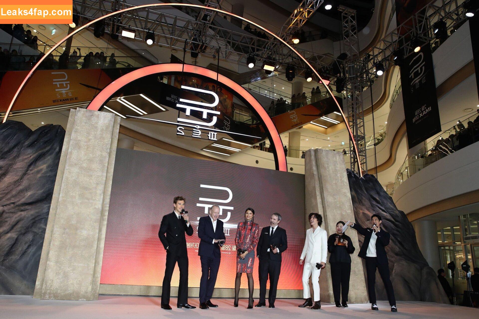 Zendaya / zayarose11 слитое фото фото #1004