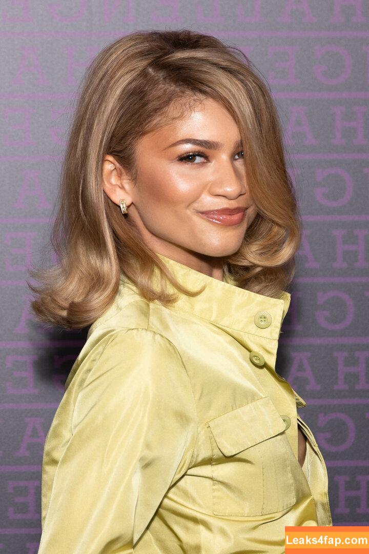 Zendaya / zayarose11 слитое фото фото #1325