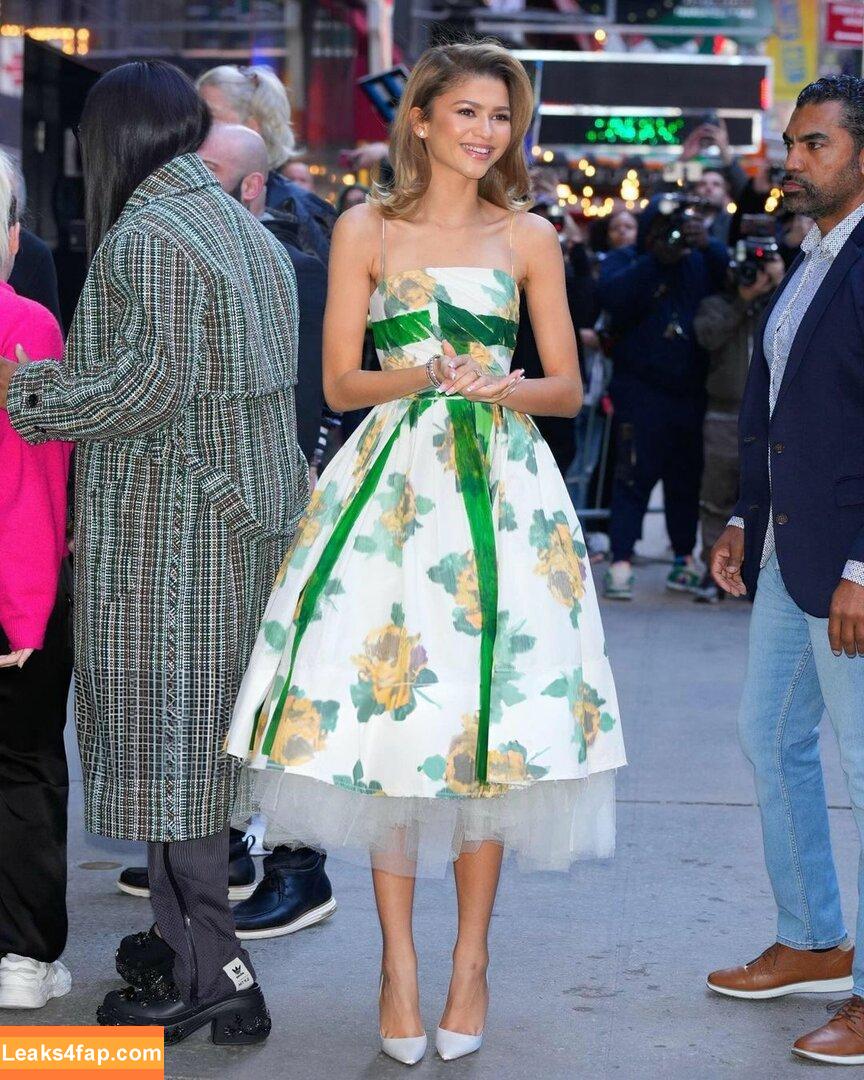 Zendaya / zayarose11 слитое фото фото #1622