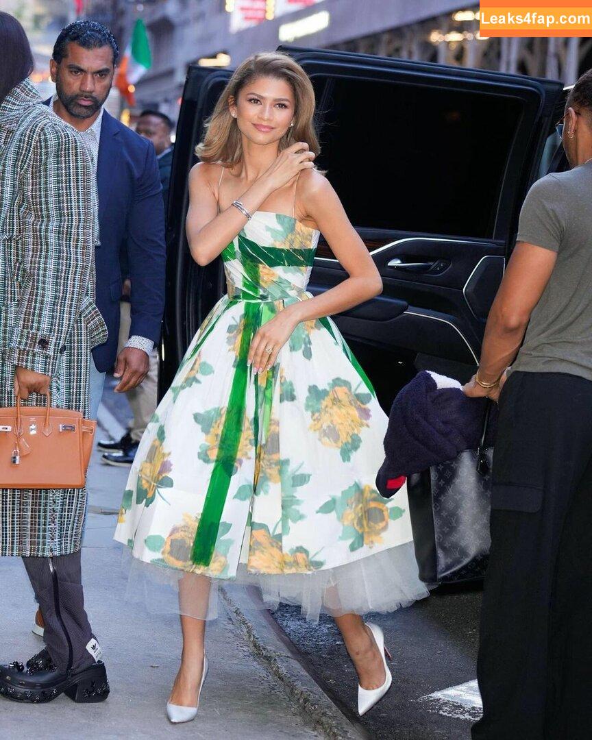 Zendaya / zayarose11 слитое фото фото #1624