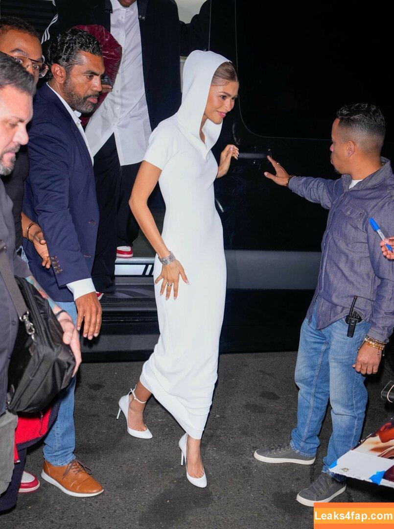 Zendaya / zayarose11 слитое фото фото #1709