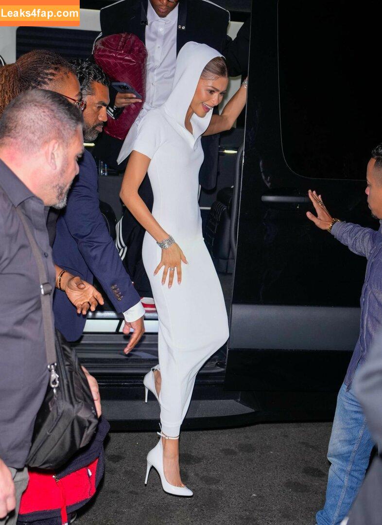 Zendaya / zayarose11 слитое фото фото #1713