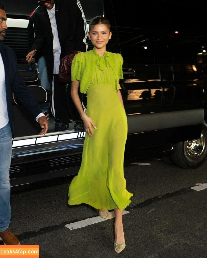 Zendaya / zayarose11 слитое фото фото #1719