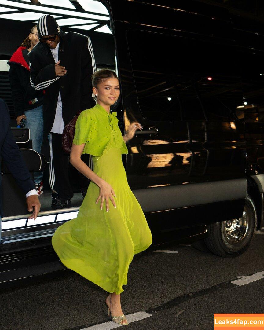 Zendaya / zayarose11 слитое фото фото #1722