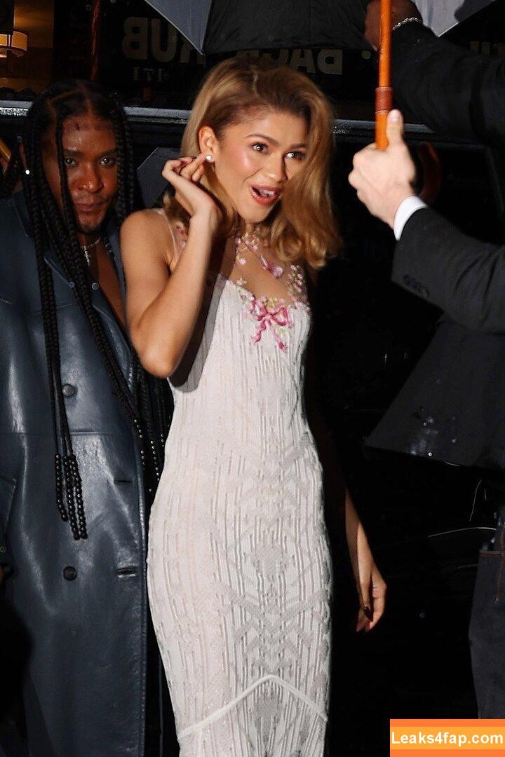 Zendaya / zayarose11 слитое фото фото #1853