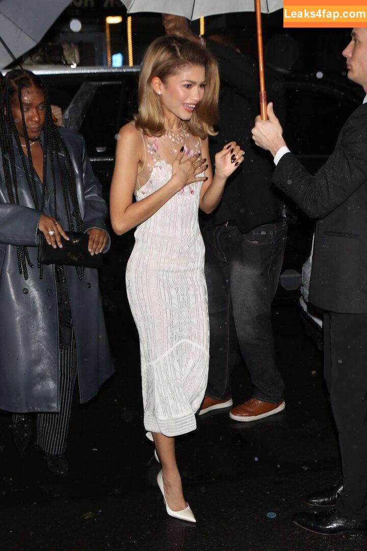 Zendaya / zayarose11 слитое фото фото #1864