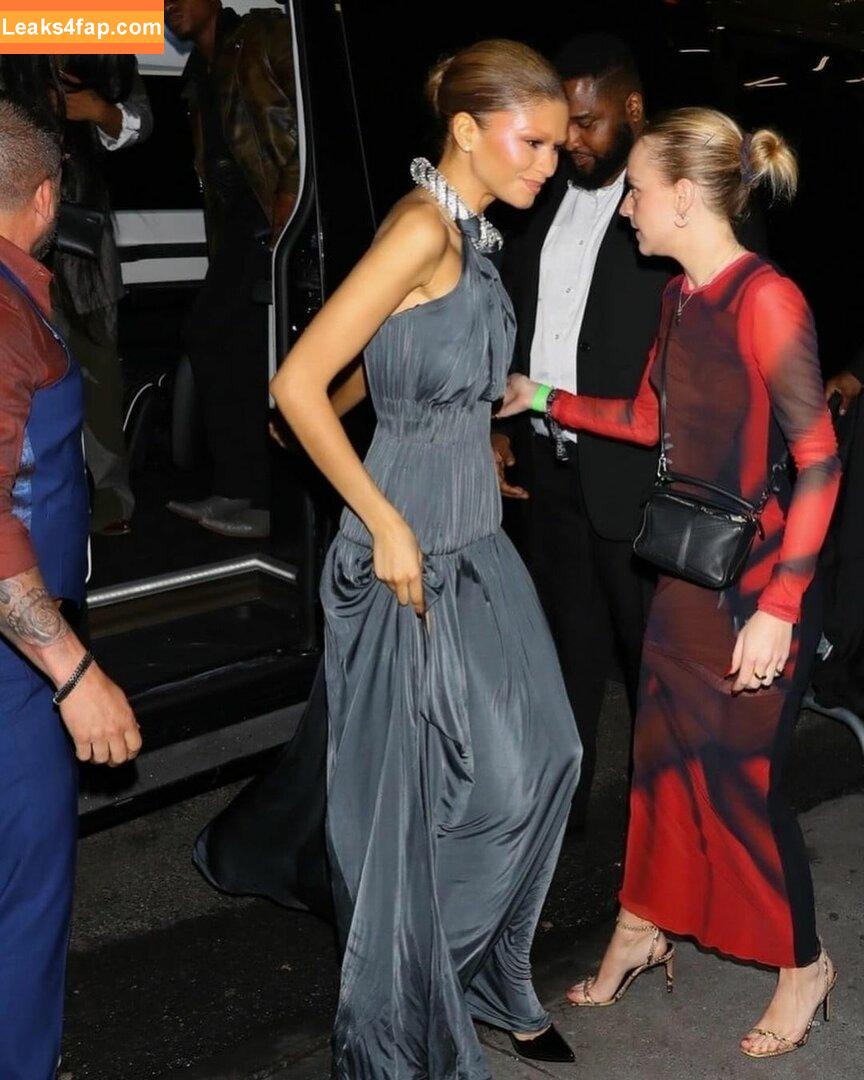 Zendaya / zayarose11 слитое фото фото #1868