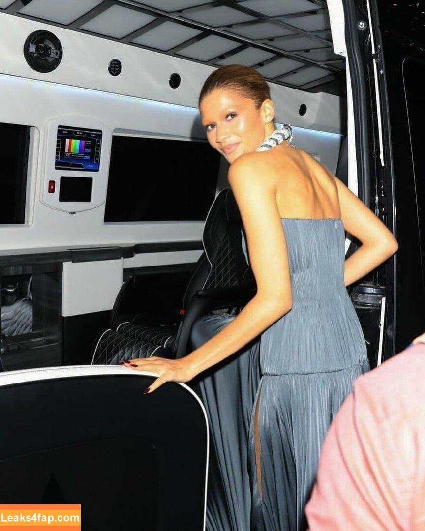 Zendaya / zayarose11 слитое фото фото #1870