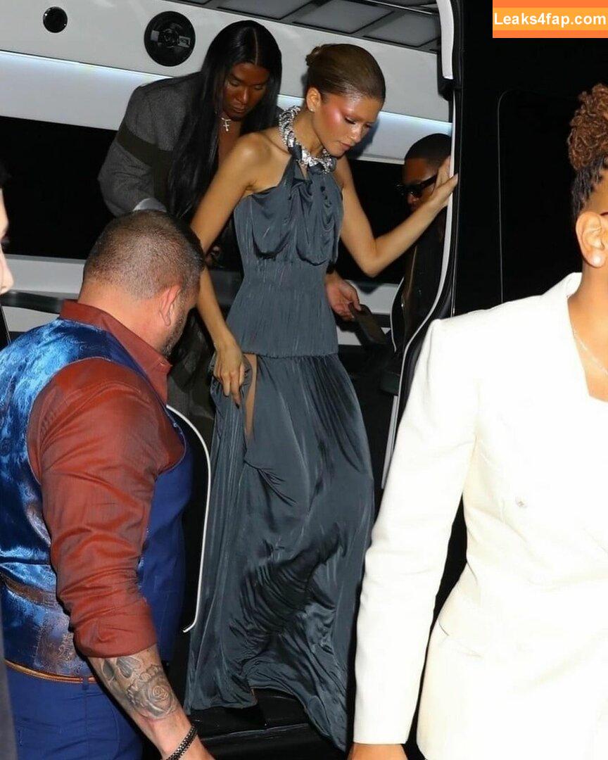 Zendaya / zayarose11 слитое фото фото #1872