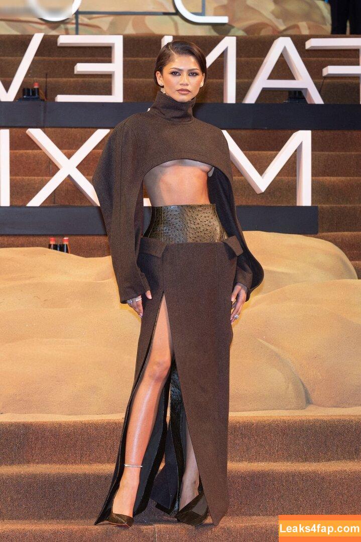 Zendaya слитое фото фото #2208