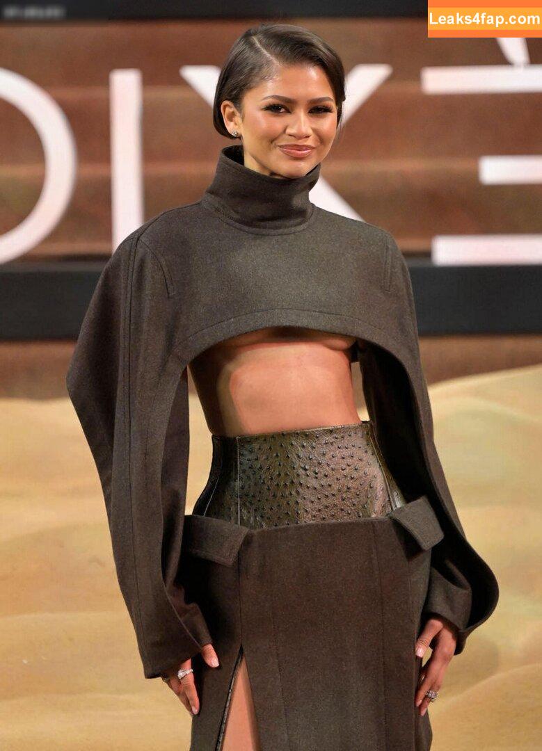 Zendaya слитое фото фото #2209