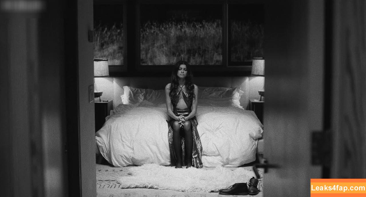 Zendaya слитое фото фото #2483