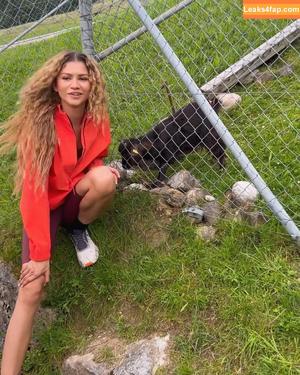 Zendaya photo #2918