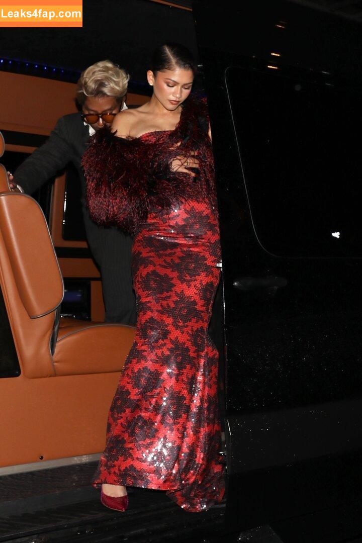 Zendaya leaked photo photo #3472
