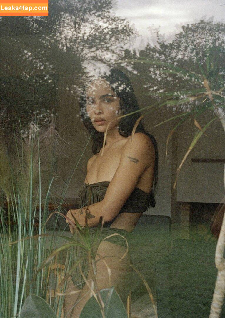 Zoë Kravitz / zoeisabellakravitz leaked photo photo #0131