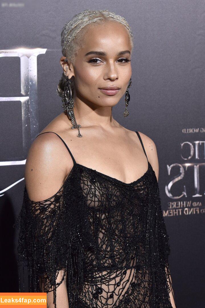 Zoë Kravitz / zoeisabellakravitz leaked photo photo #0338