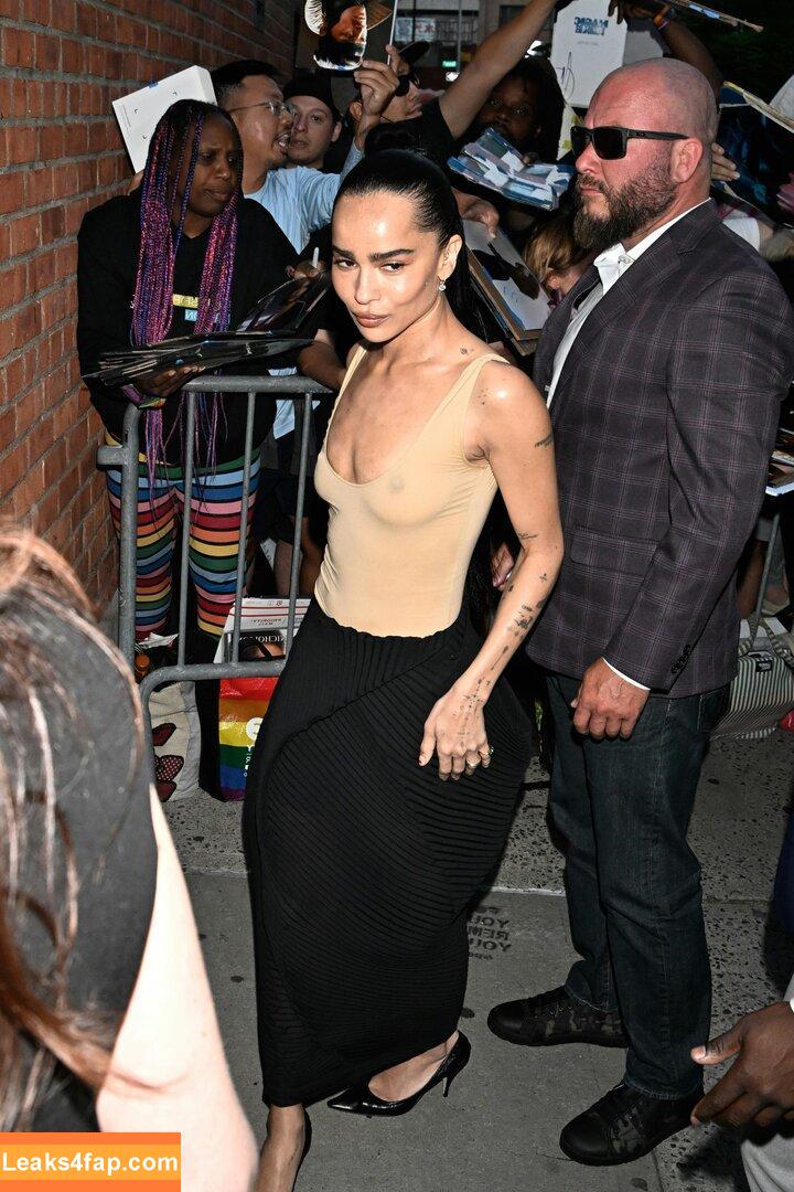 Zoë Kravitz / zoeisabellakravitz leaked photo photo #0361