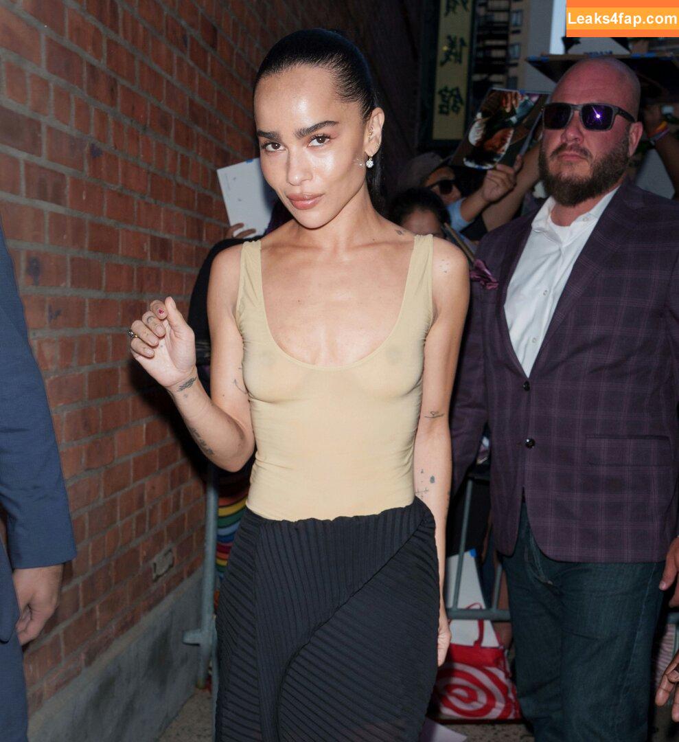 Zoë Kravitz / zoeisabellakravitz leaked photo photo #0365