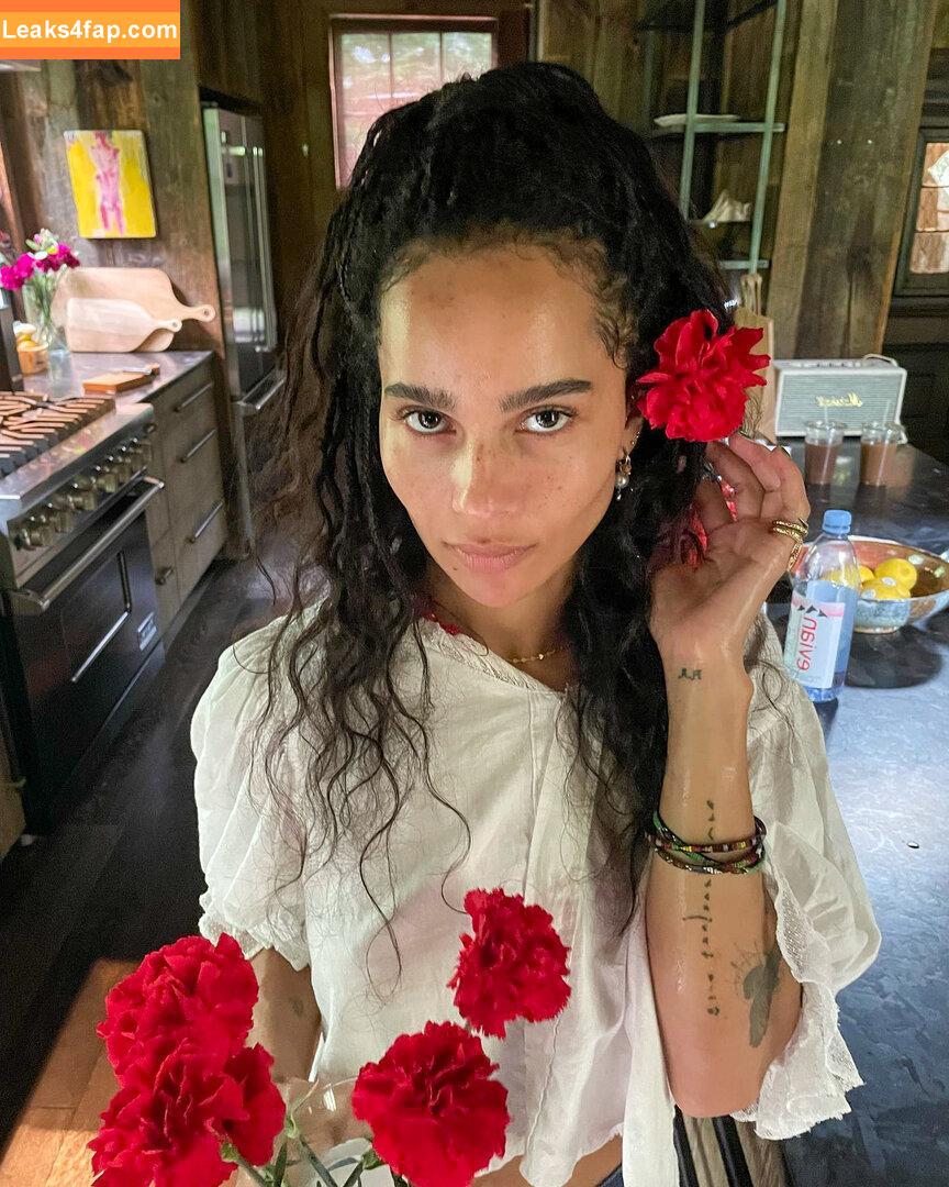 Zoë Kravitz / zoeisabellakravitz leaked photo photo #0031