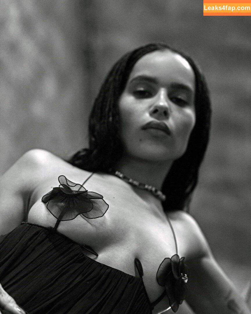 Zoë Kravitz / zoeisabellakravitz слитое фото фото #0038