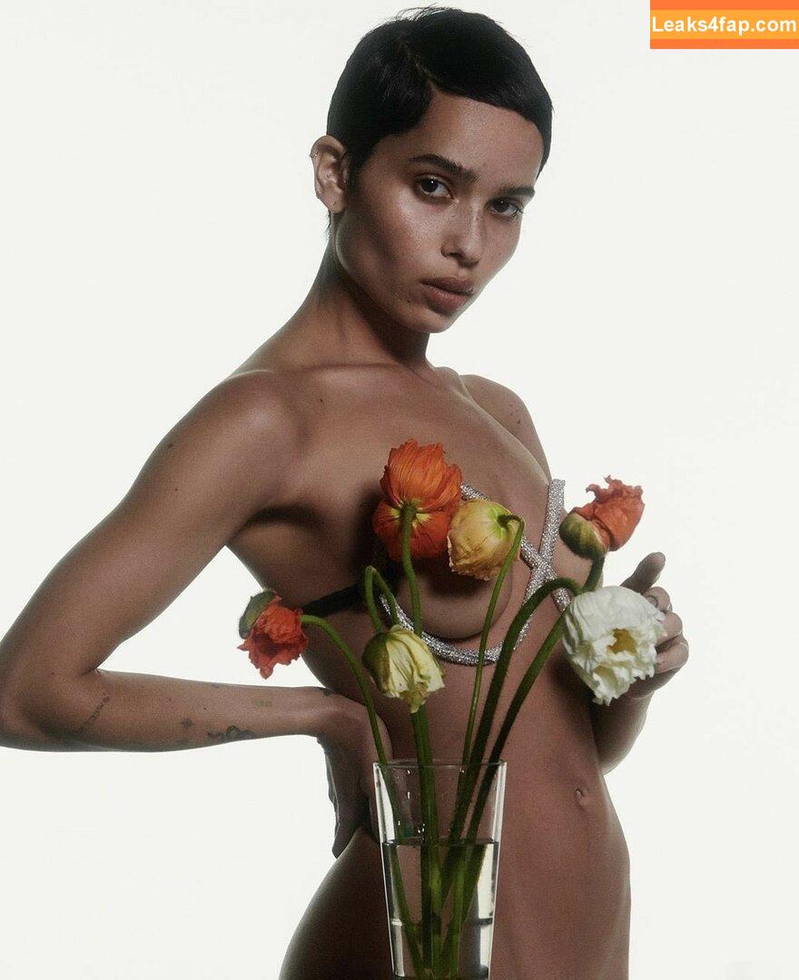 Zoë Kravitz / zoeisabellakravitz слитое фото фото #0071