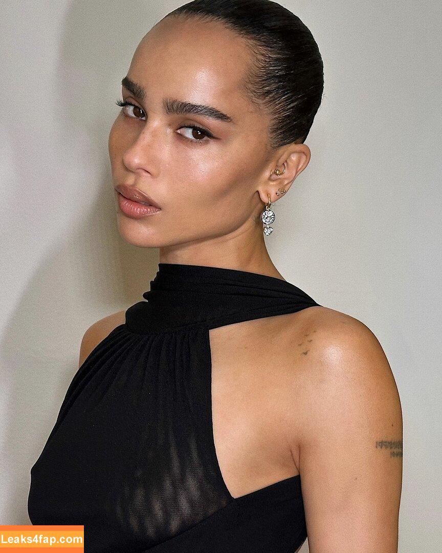 Zoë Kravitz / zoeisabellakravitz leaked photo photo #0111