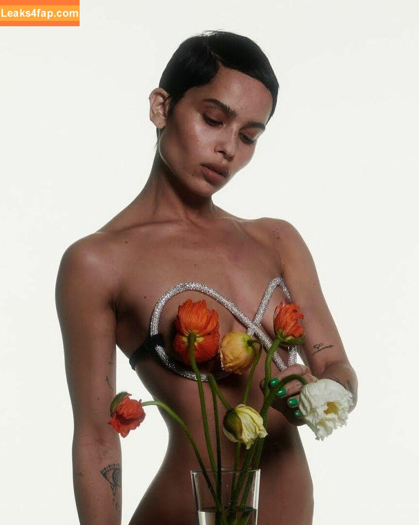 Zoë Kravitz / zoeisabellakravitz слитое фото фото #0205