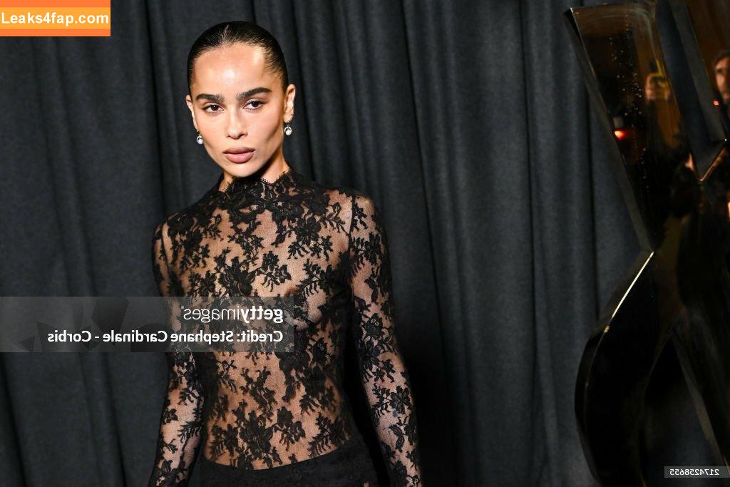 Zoë Kravitz / zoeisabellakravitz слитое фото фото #0261