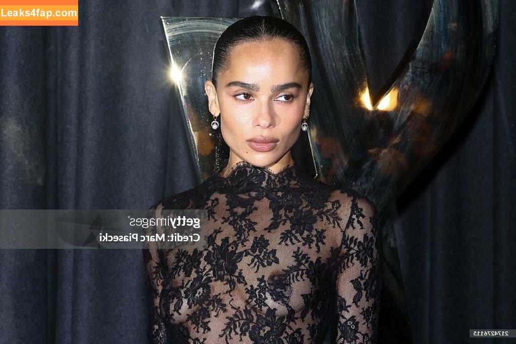 Zoë Kravitz / zoeisabellakravitz слитое фото фото #0267