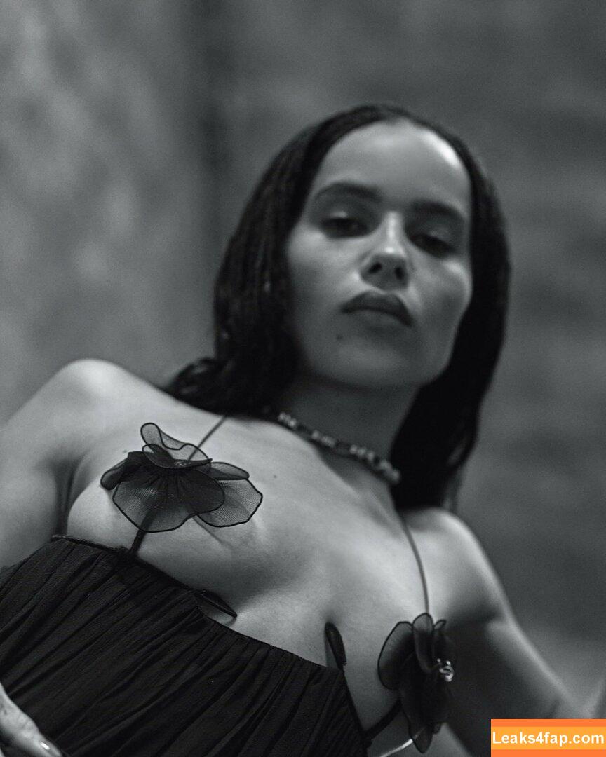 Zoë Kravitz / zoeisabellakravitz слитое фото фото #0291