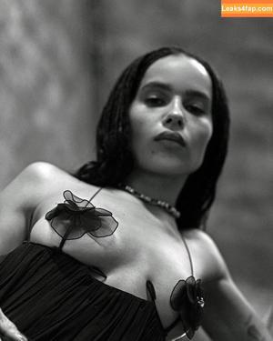 Zoë Kravitz фото #0038