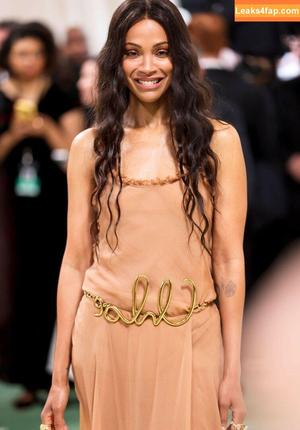 Zoe Saldana photo #0245