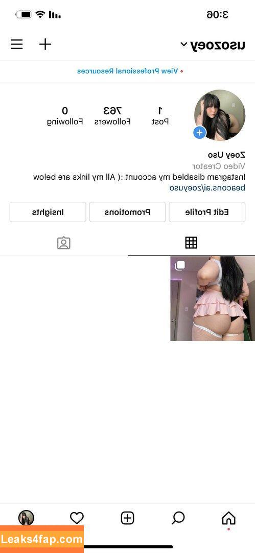 zoeyuso / OmgZoey / https: / zoey_uso leaked photo photo #0004